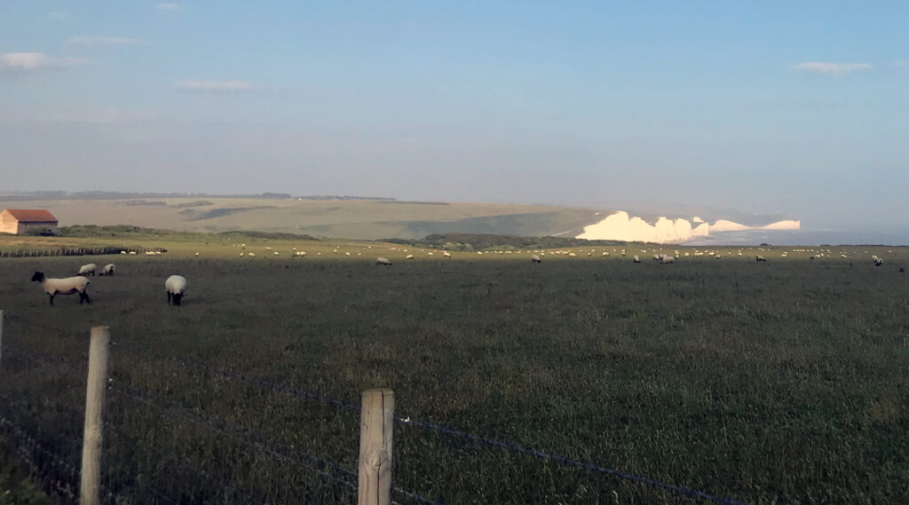 A view from Seaford head over the Sussex coast. The Seven Sisters cliffs can be seen in the distance. To the right is South Hill Bar, sunlight on its gable. In the foreground, sheep are grazing.