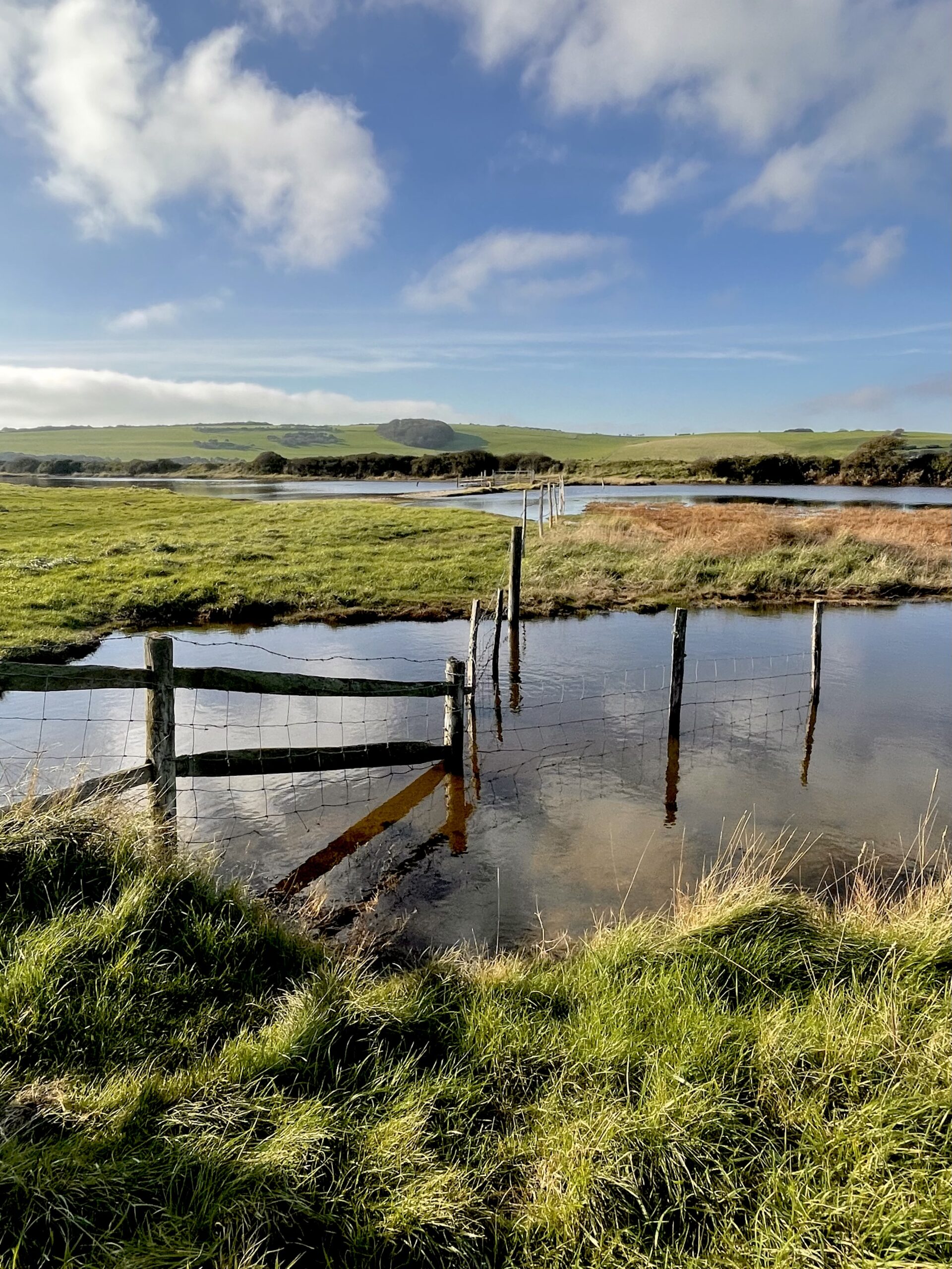 Gallery – The Cuckmere, 12 November 2022