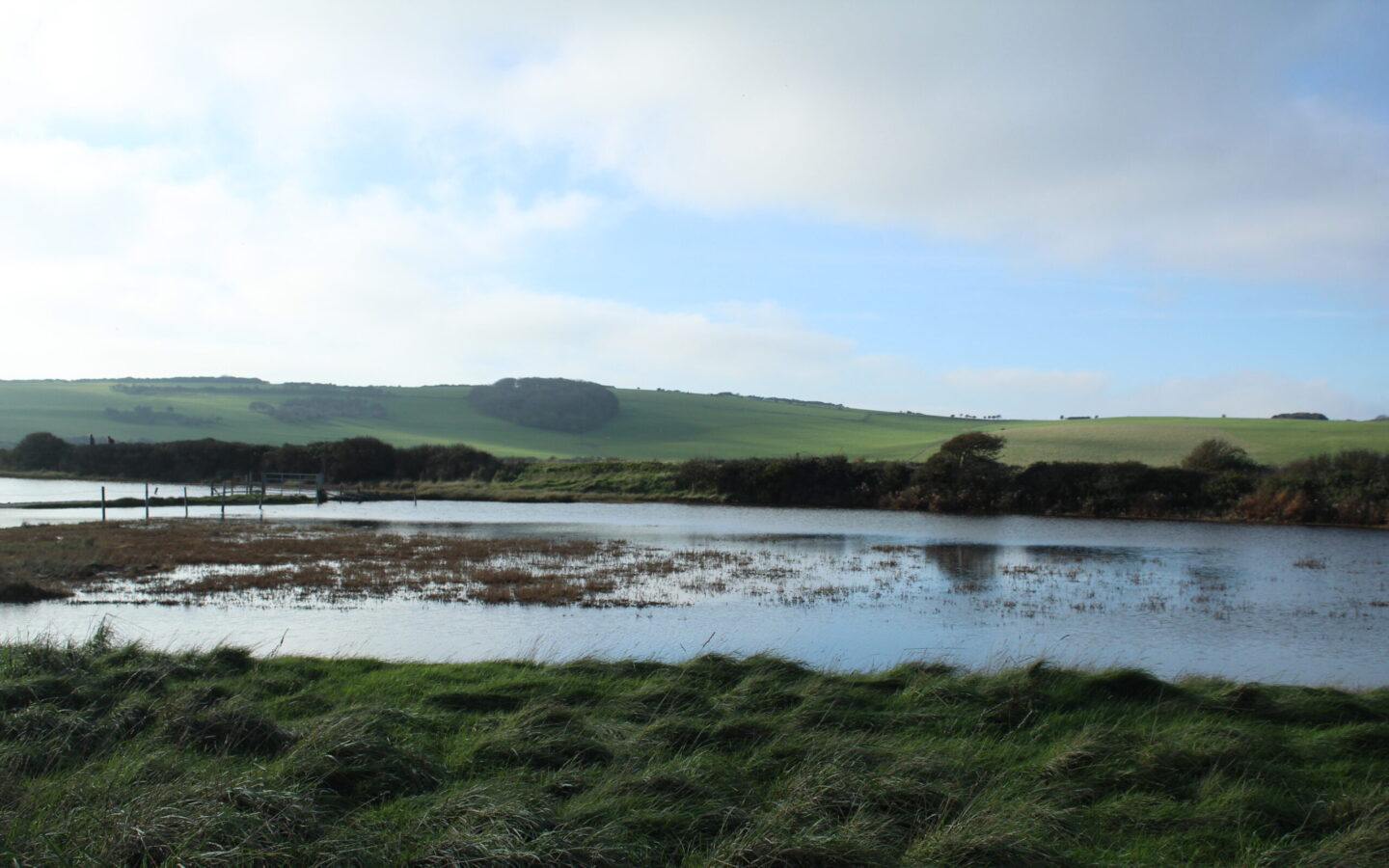 Walk 1 – The Cuckmere, 12 November 2022